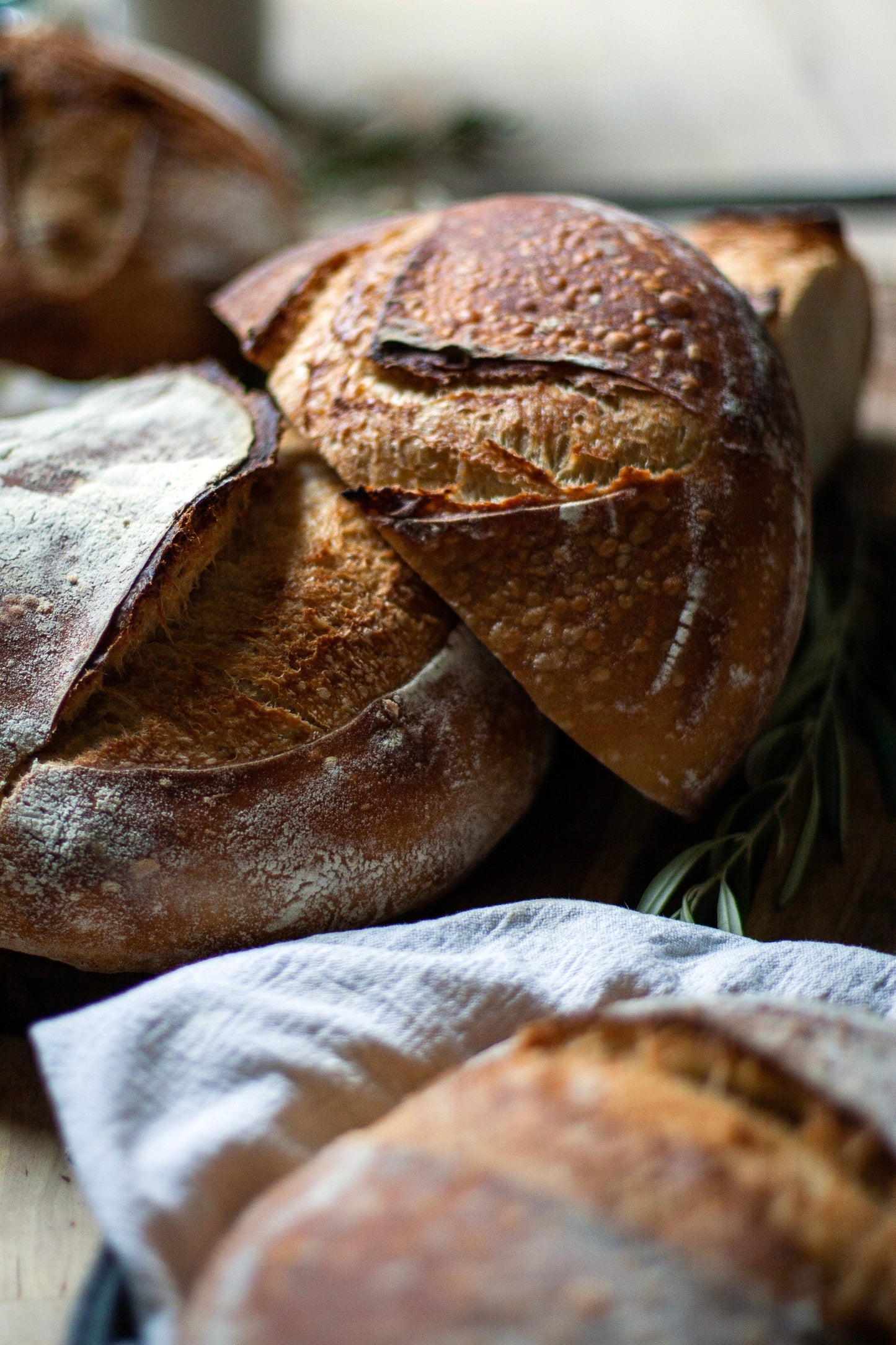 Beginners Sourdough Workshop